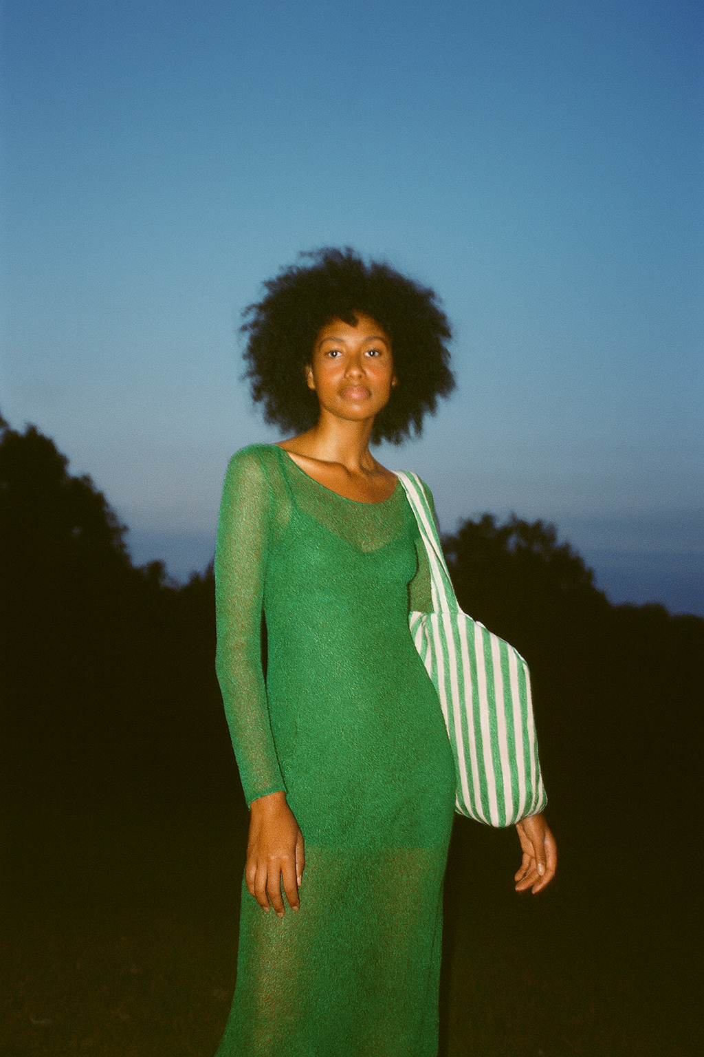 The Ingrid Bag